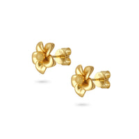 Fragrant Plumeria Amber Earrings - Gold
