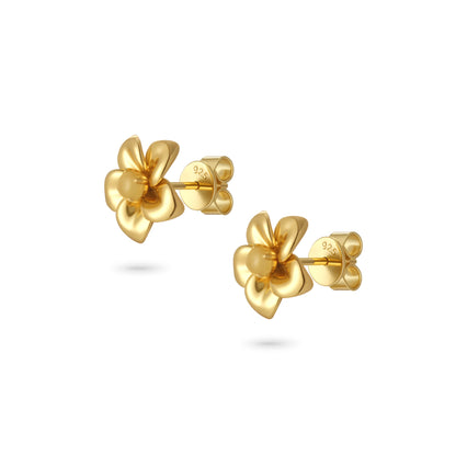 Fragrant Plumeria Amber Earrings - Gold