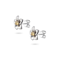 Fragrant Plumeria Amber Earrings - Silver