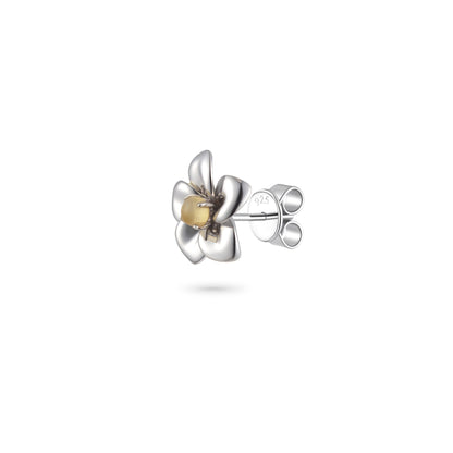 Fragrant Plumeria Amber Earrings - Silver