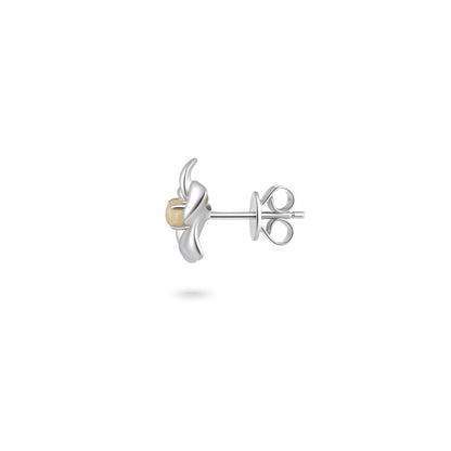 Fragrant Plumeria Amber Earrings - Silver